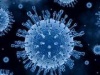 Cancelled due to Coronavirus (COVID-19)